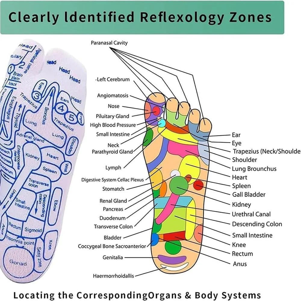 Reflexology socks with massage tool